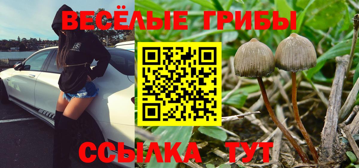 Галлюциногенные грибы Magic Shrooms Лянтор