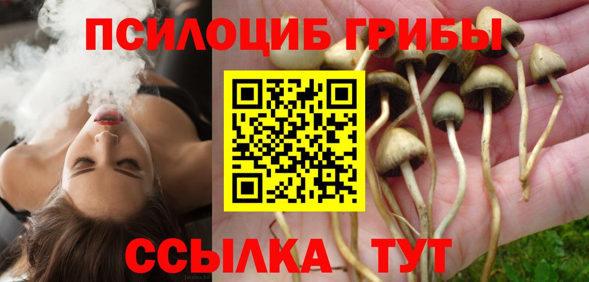 Лянтор  наркота  Вход с VPN  Галлюциногенные грибы прущие грибы 
